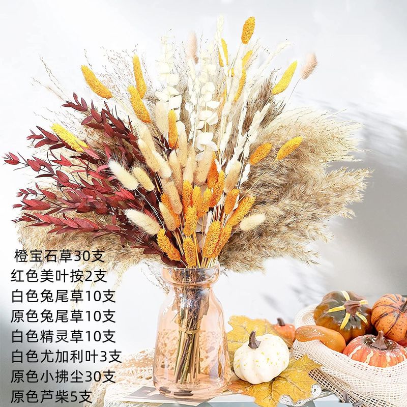 アマゾンはよく売れています。葦の花の花束です。|undefined
