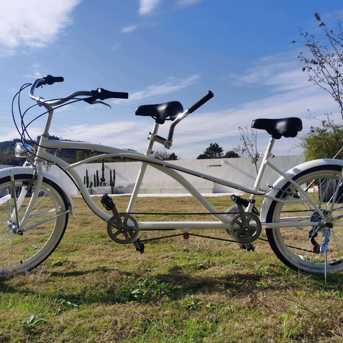 Белый tandem велосипед для отдыха, ностальгия