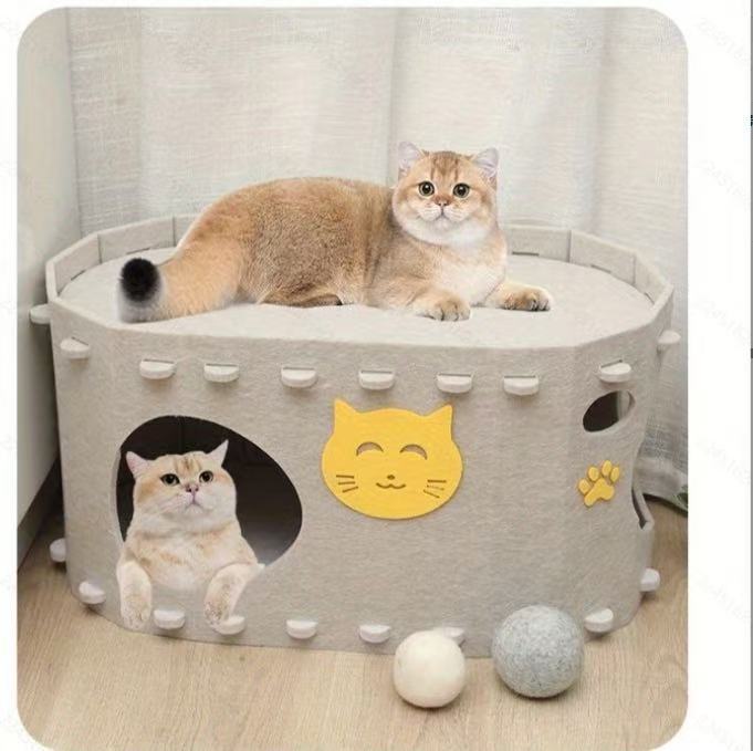낙타 (고양이 머리 포함)