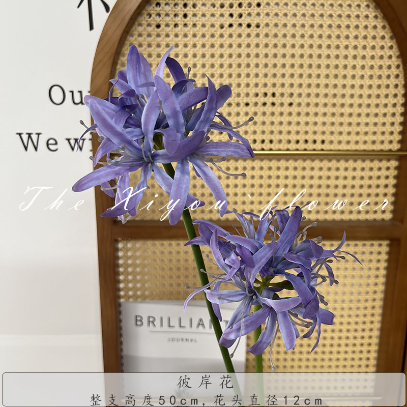 저편의 꽃-보라색