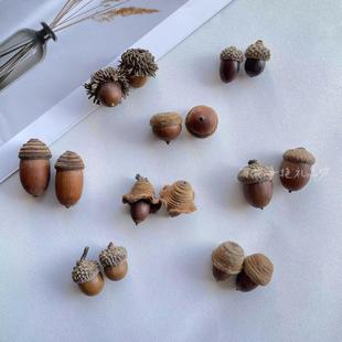 ë������������Ӽt�Ι���Ȼ�����˱�diy������Ȼֲ�ﱱ���t��ñ