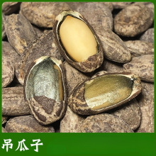 D2025uζwԹ5СbСǹϺt