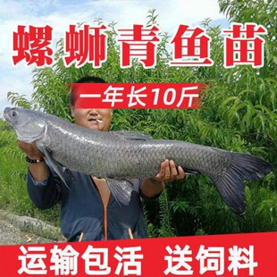 ��Ʒ�N���|��·���~������~���~�绨�����~�Bֳ���w�~�����