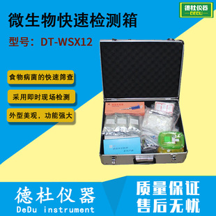 ���K�¶�DT-WSX12��΢������ٙz�y��