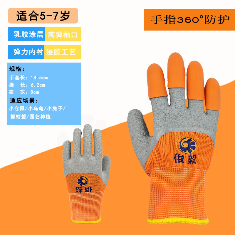 5-7 년 된 바다 준설 오렌지