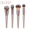 Brush, set, 1 pieces, 4 pieces, 10 pieces, 14 pieces, champagne color, 10 pieces