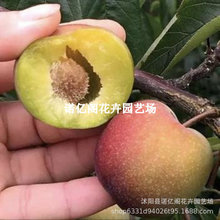 ＧӘϱͥԺԷNֲļ̨Լ޽ÓǮY