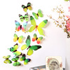 Three dimensional decorations on wall for living room, Birthday gift, wholesale