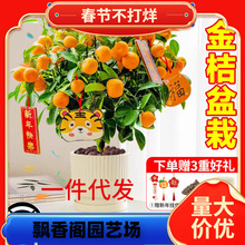 һ�����l��ۘ������ļ�������ʳ�ô�ƤС���Ә���͏d�҃Ⱥ��B��