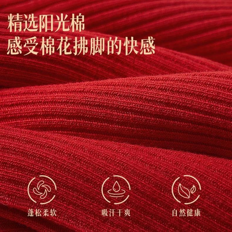 微信图片_20240906145410