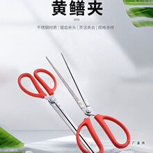 不锈钢黄鳝夹子鳝鱼夹火钳垃圾夹泥鳅螃蟹钳子防滑抓龙虾赶海工具