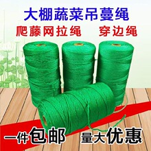 ���������߲��r�ý����K���ļ����N�����v�ܠ����K��ֲ��W�����A