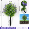Purple blue camellia eucalyptus ground nails