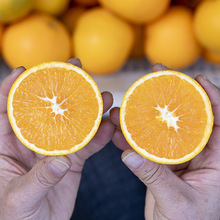 宜昌九月红橙秭归脐橙斤整箱新鲜甜橙子果冻橙柑橘大中水果多汁