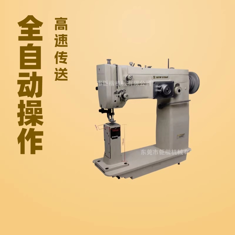 �������ֳ����������͸�ͷ����Ѻ��