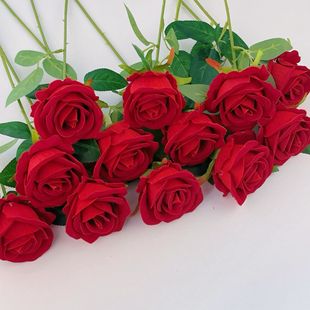 ����õ�廨��c�bٻ��q�������Ҿ����˹��b��ٲ����������