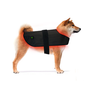 M Size Pet Red Light Infrared Physiotherapy Instrument for Cats, Dogs, Back and Abdomen Injured Fracture Healing Portable Timing 2025 New Model