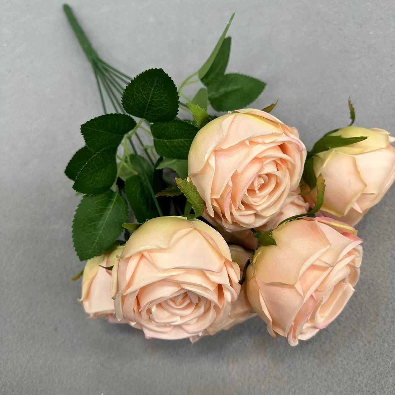 7头皇妃玫 粉香槟