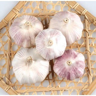 ����105���l����Ƥ�������Ƥ����ɽ�|�����^��Ƥ��ʳ���r�aƷ