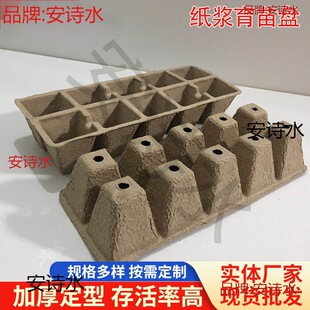 ���P���{����P�ɽ���10�������� 12�����籭���@ˇ����I�B��