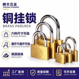 防撬防剪纯铜挂锁 户外庭院锁仓库锁健身房锁家用防盗锁头柜门锁