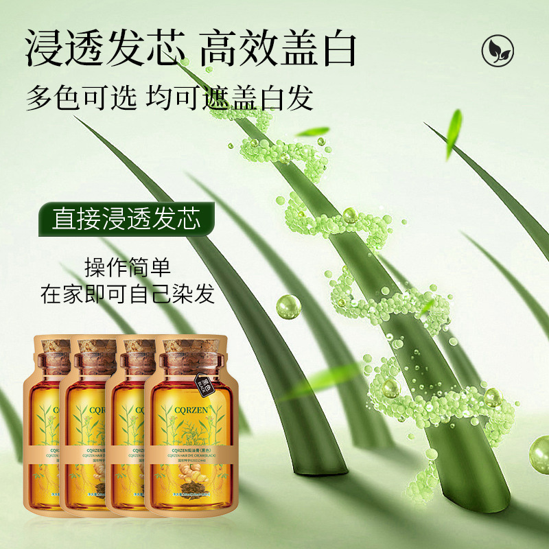 Plant Bubble Hair Dye Gel Bottle Hair Dye, One Piece Black Cap White Hair Home Dye CQRZEN White Hair Dye Black