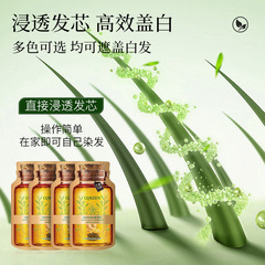 Plant Bubble Hair Dye Gel Bottle Hair Dye, One Piece Black Cap White Hair Home Dye CQRZEN White Hair Dye Black