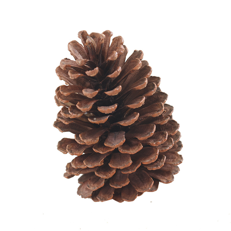 Buscando madera cruzando decoraciones navideñas colgantes de pino natural salvaje guirnaldas de pino material DIY camino de disparo de Navidad