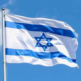 以色列旗帜巴勒斯坦旗帜旗子英国美国各种旗子3*5FT亚马逊供应商