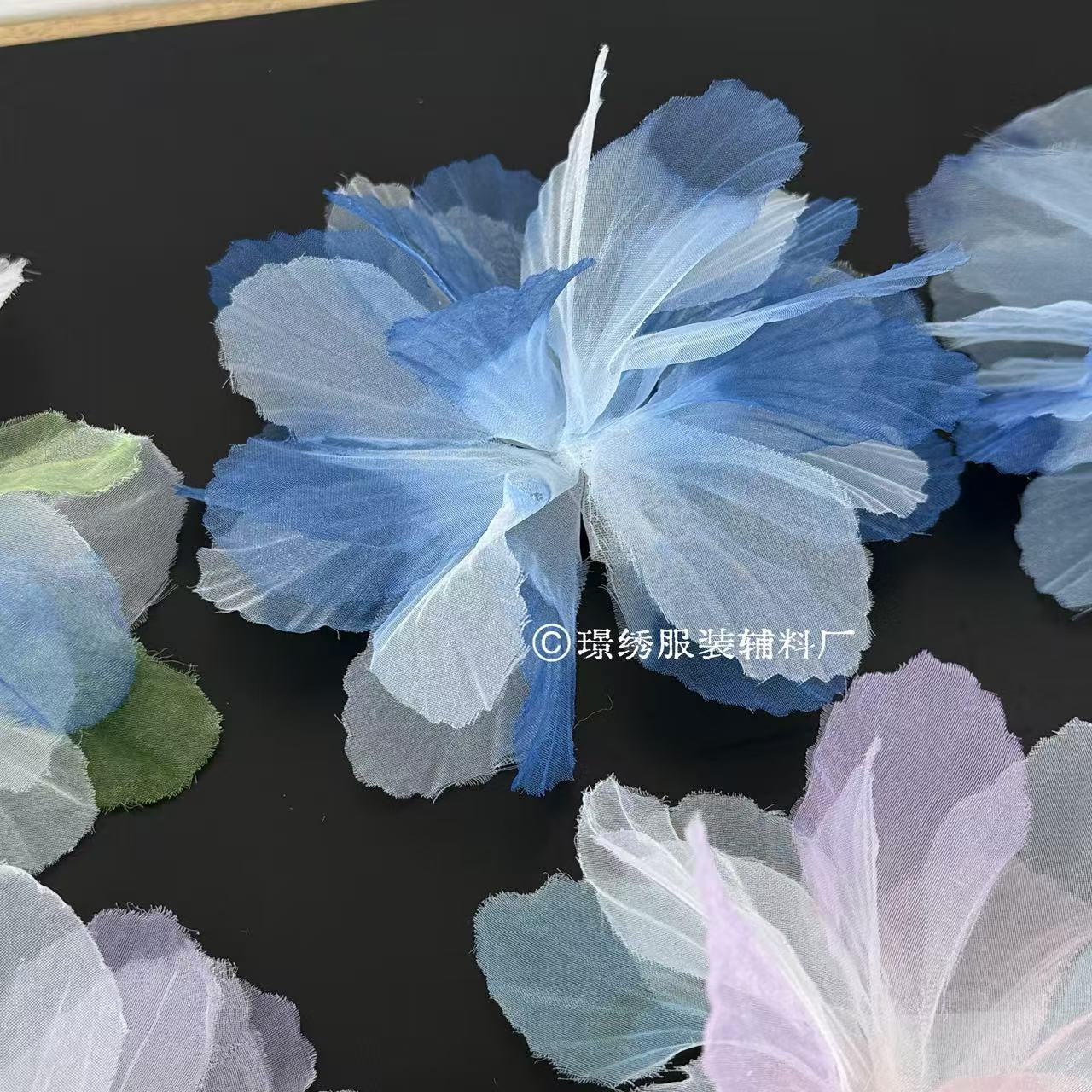 微信图片_20250909145528_38_2