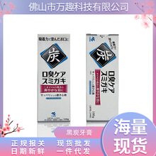 日本进口 黑炭清洁牙膏洁白竹炭清新口气100g