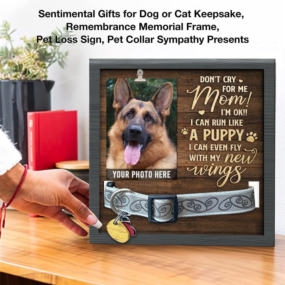 El marco de fotos conmemorativo para mascotas creativo de madera puede contener collar mesa tridimensional marco de fotos para mascotas mascota de madera perdida
