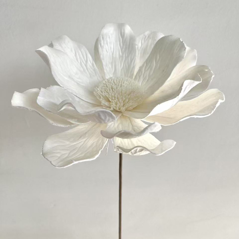 Gran lirio de hierba blanca de 15 - 16 cm de diámetro y 60 cm de largo
