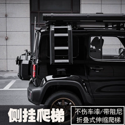 Wei Jinbo Wholesale, Roof rack - baojun-yueye-guard-style-ladder