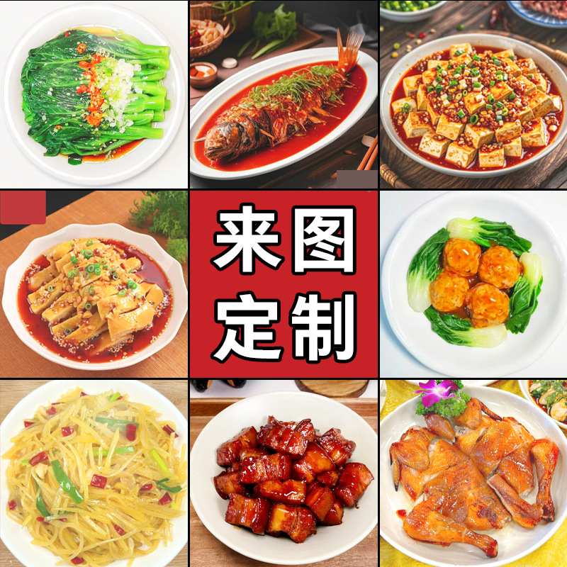 菜品模型中餐炒菜饭模型食物食品道具假菜肴小吃模具