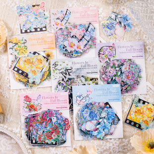 ���õ�һ�� ��������ϵ�� �֎��b����zƬ���w�CPET�N��20��6��