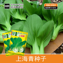 Դ^SlϺNļuëС˷N߲˷N