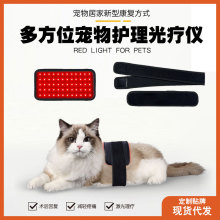 ̺tӟ|С늟̺⯟x؈tt⾀