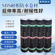 直销国标改性沥青SBS自粘防水卷材耐根穿刺防水卷材 种植屋面SBS