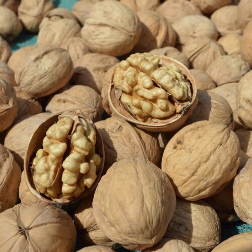 This year's new arrival, thin-skinned paper-like walnuts, affordable bulk, raw original taste, Aksu 185 kernels, white, suitable for pregnant women and adults