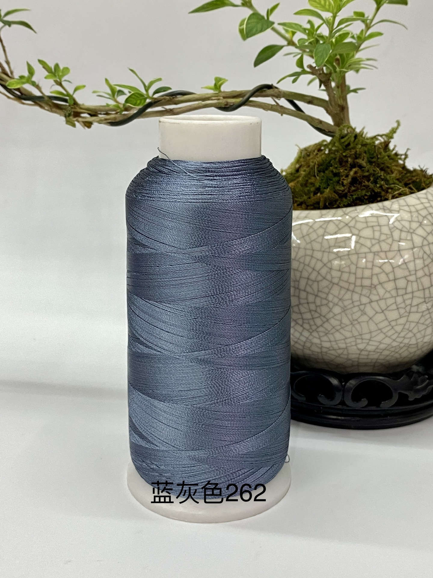 블루 그레이 262