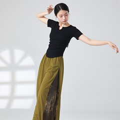 現代ダンス練習服vネック修身半袖フィットネス運動ヨガトレーニング服夏tシャツ上着中国舞