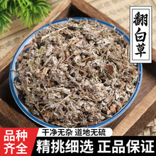 翻白草500克 材当季新货干货干净非非野生可搭配绞股蓝