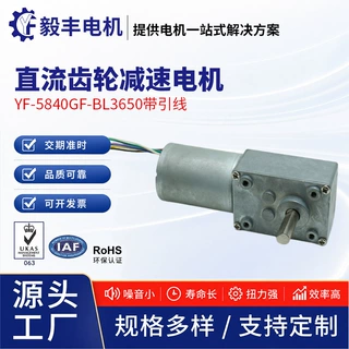 5840直流无刷蜗轮蜗杆齿轮减速电机6v12v24v低噪音大扭力马达定制