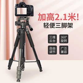相机三脚架;手机支架;摄影支架