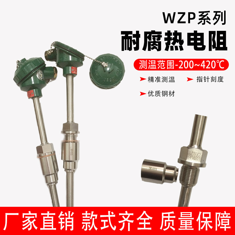 WZPK armored film platinum thermal resistance PT100 armored platinum thermal resistance K indexing fast response flexible