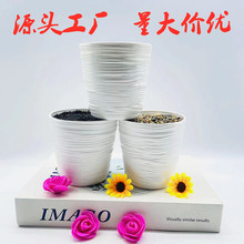 �´ɻ������ϻ���������Ի���210�b�M�y�A�λ���Gֲ���ܲ廨