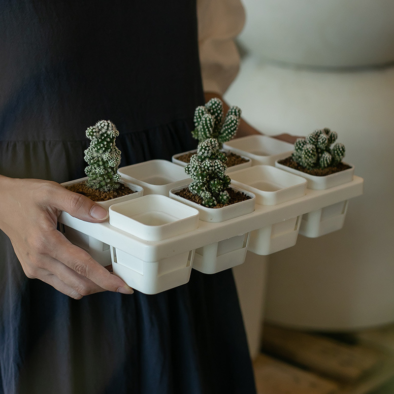 Bandeja de Plástico para Macetas, Cuadrada Negra, para Suculentas y Plántulas