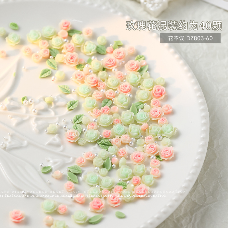 꽃은 진주 장미를 놓치지 않습니다 약 30-40