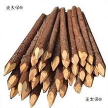 落叶松圆形削尖营地河道装饰落叶圆木户外支撑防汛杉木带皮麦太保